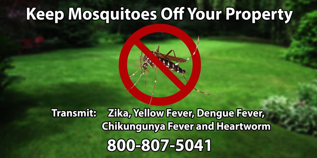 zika virus, zika virus nj, zika virus new jersey, zika virus monmouth county, zika virus middlesex county, zika virus ocean county, zika symptoms, the zika virus, zika nj, zika monmouth county, zika middlesex county, zika ocean county, zika virus symptoms