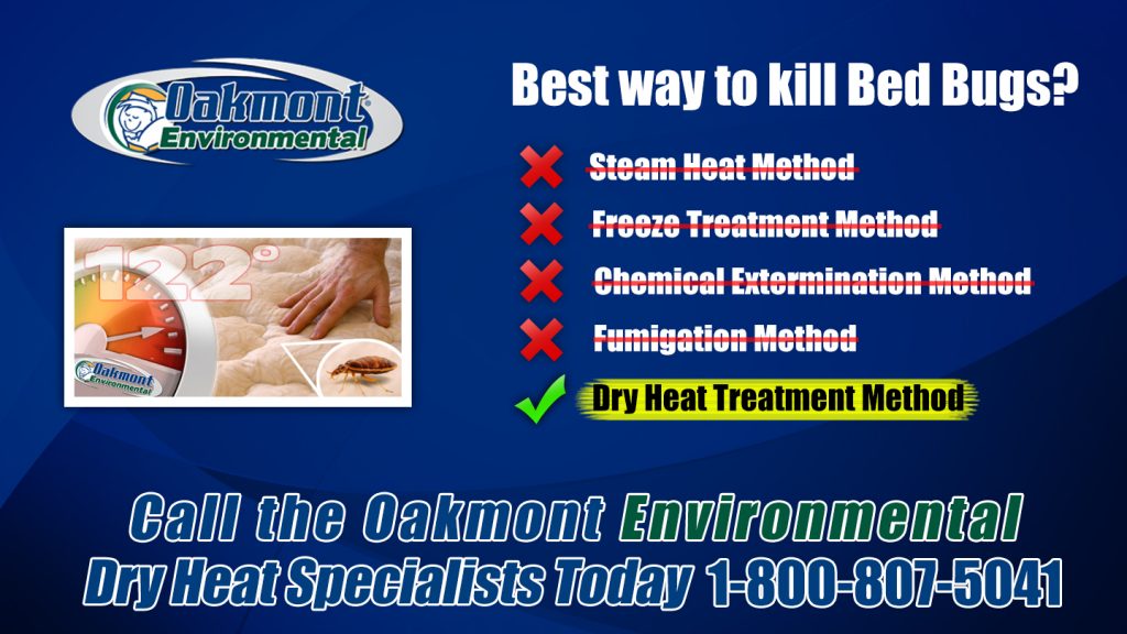 Bed Bug heat treatment Downs Farms NJ, Bed Bug images Downs Farms NJ, Bed Bug exterminator Downs Farms NJ, Chemical Free Bed Bug Exterminator Downs Farms NJ