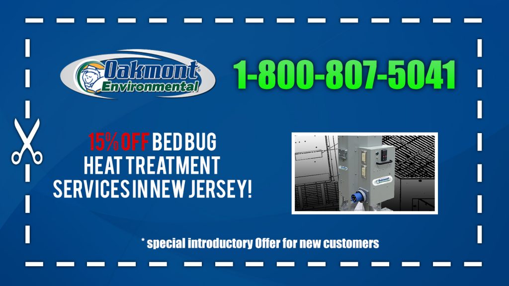 Non-toxic Bed Bug treatment Cherry Quay NJ, bugs in bed Cherry Quay NJ, kill Bed Bugs Cherry Quay NJ